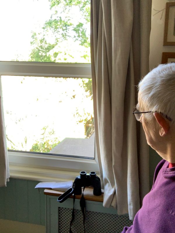 Bobby sitting in a chair looking out of the window at Laurel Cottage ready for his Birdwatch.