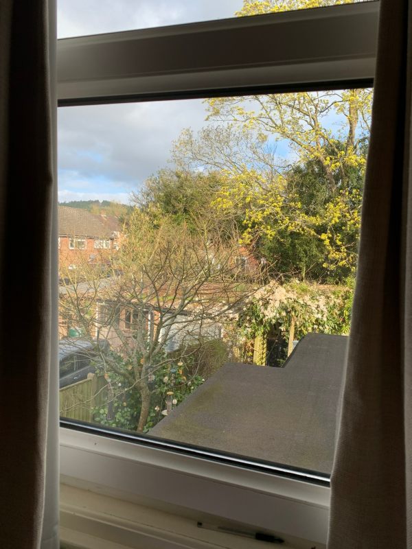 View from the upstairs window of Laurel Cottage. First day of the survey. Bare leaved, with just flowers on the large Sycamore tree at the back.