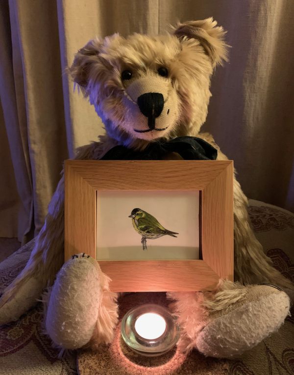 Bertie holding a framed picture of a Siskin with a lit candle for Diddley in front of him.