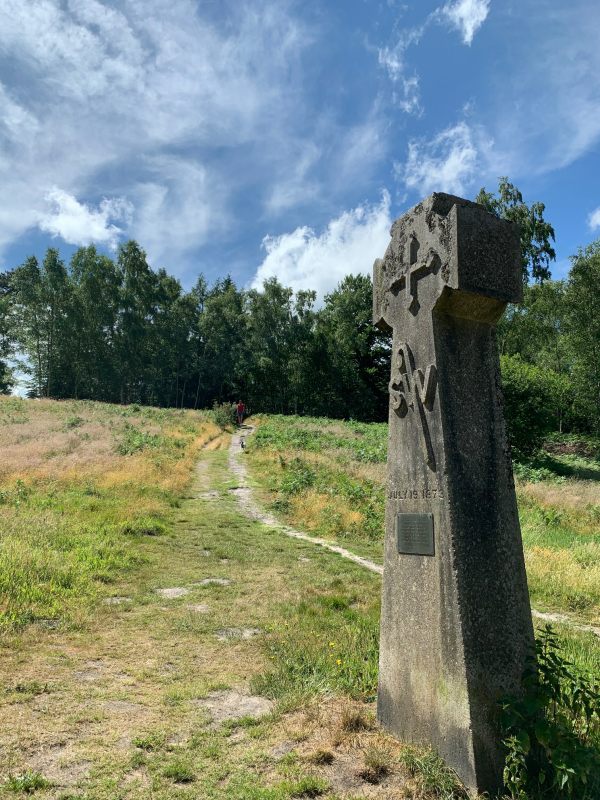 Abinger Roughs looking up to Diddley's Bench, Samuel Wilberforce. Bishop of Winchester fell off his horse here and was killed. Son to William Wilberforce credited with bringing slavery to an end.