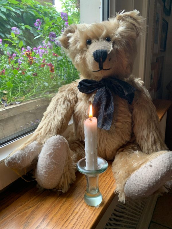 Bertie in the window at Laurel Cottage sat behind a candle lit for Diddley.