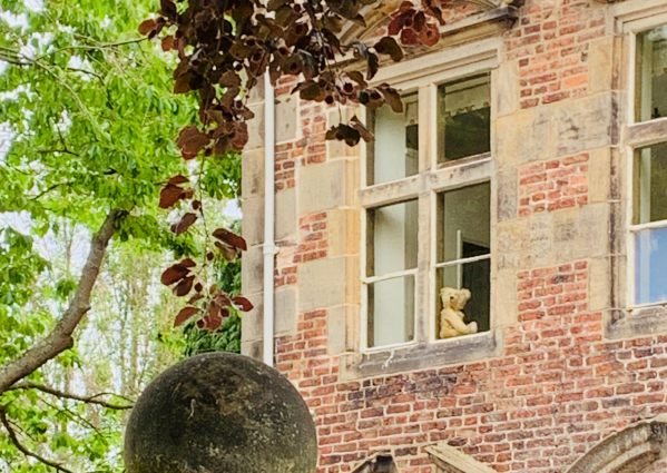 Missing You - Bertie sat in the window of the B&B looking out.