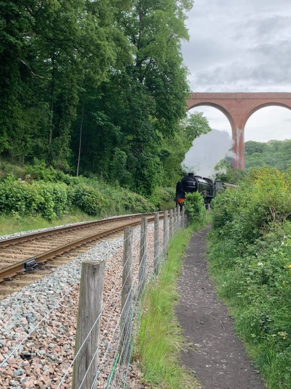 Schools Class "Repton" pulling a train under a viaduct on the North Yorkshire Moors Railway.