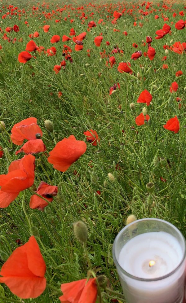 A candle lit for Diddley in a field of red poppies.