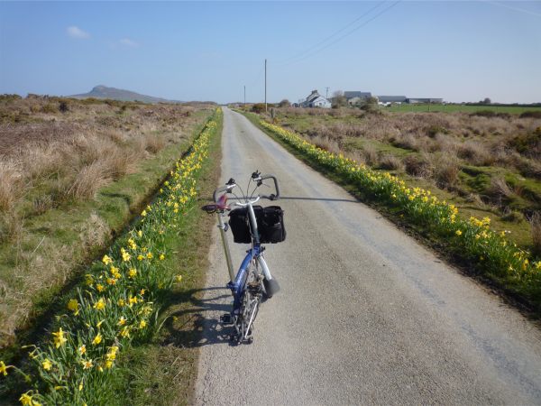 March 2011. North Pembrokeshire. NCN Route 4. St David's to Fishguard. Near Strumble Head.