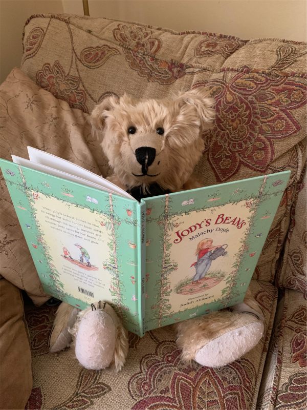 Bertie sat in an armchair reading the book Jody's Beans.