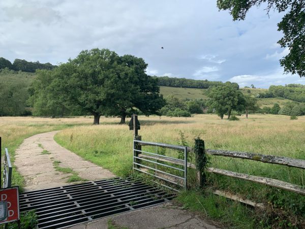 Cattle Grid on our walk from Westcott to Denbies Hillside.