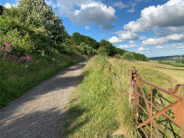 Past the 150 year old gate. Dorking to the right.