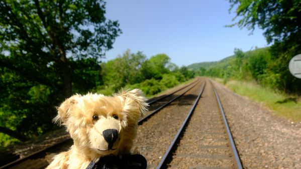 Bertie on the railway crossing.