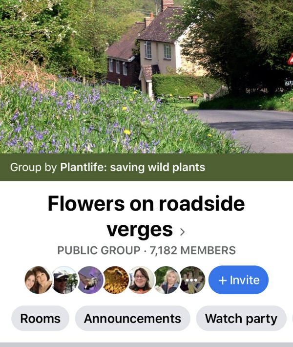 Header from the Flowers on Roadside Verges Facebook Group. Click for link.