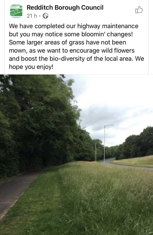 Post from Redditch Borough Council showing a central reservation with only the edges mown.