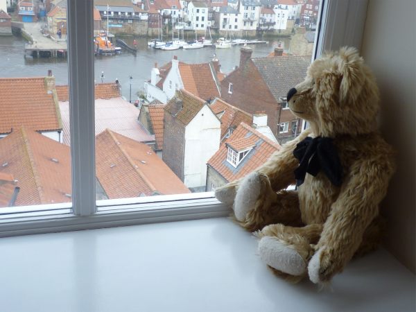 Bertie in the bedroom window overlooking Whitby Harbour.