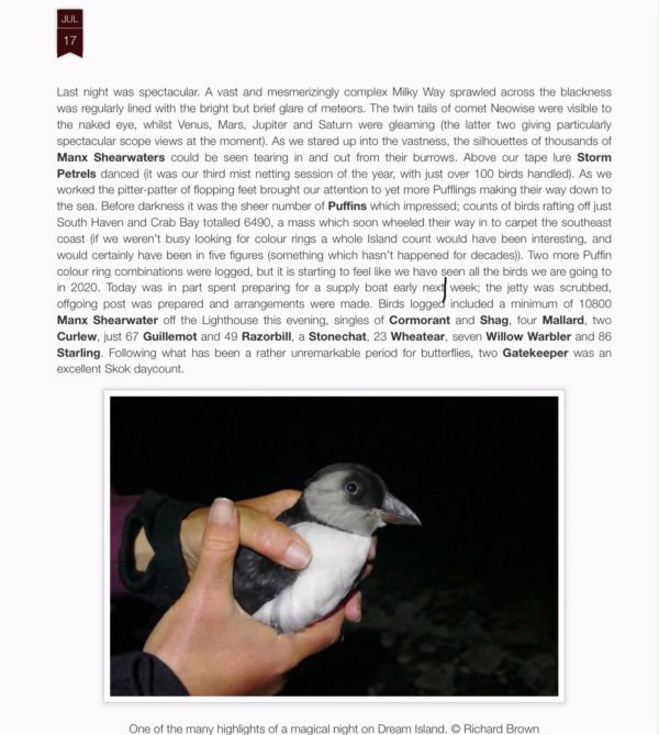 A Puffling