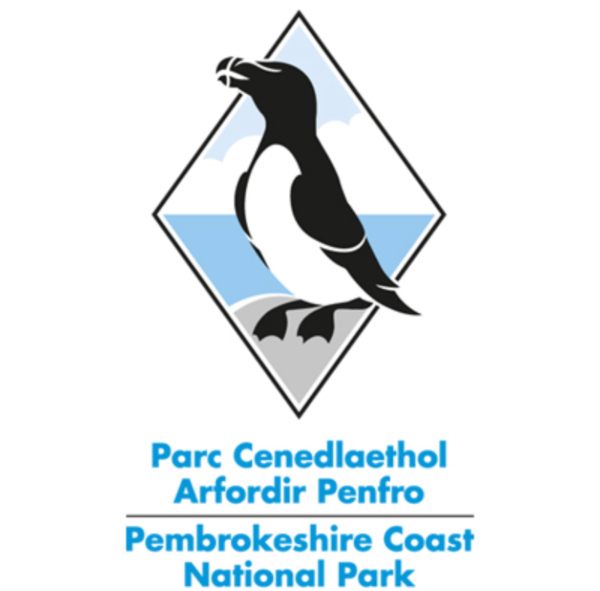 Razorbill poster for Pembrokeshire Coast National Park.