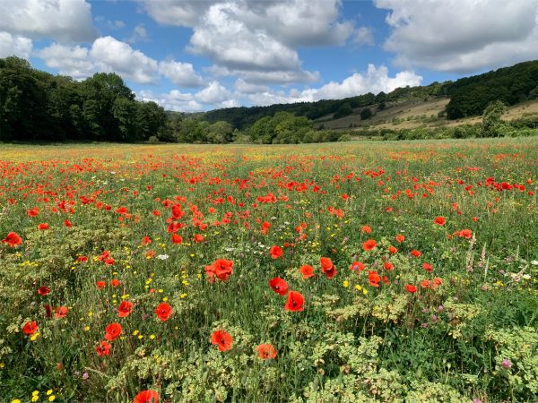 Cardiac Rehab in the Surrey Hills.