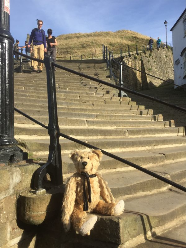 Bertie on the 199 steps up to Whitby Abbey.