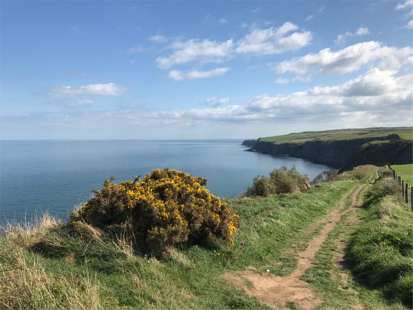 Heading south on the Cleveland Way.