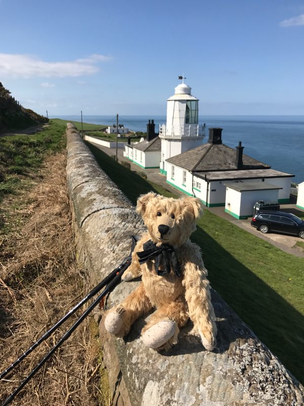 Bertie sat on a wall in front of Whitby Lighthouse.