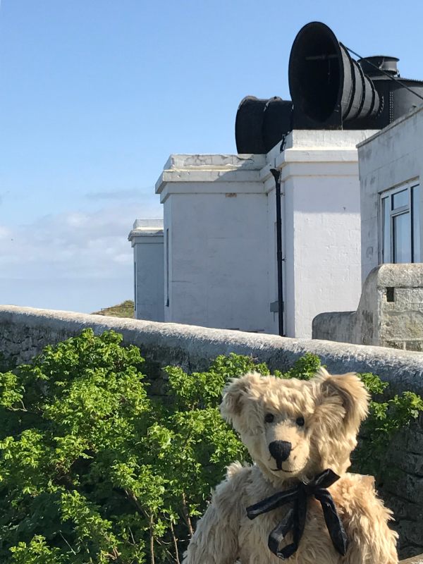 Bertie in front of the Whitby Lighthouse foghorns.