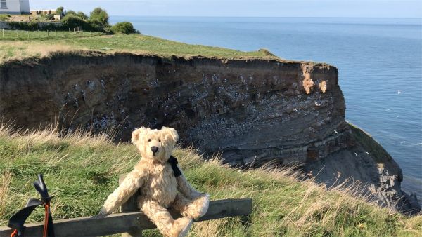 Bertie sat on the cliffs.