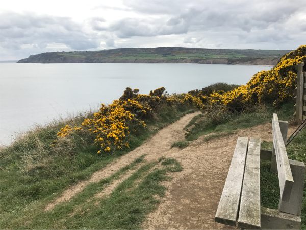 Bench overlooking Robin Hood's Bay.