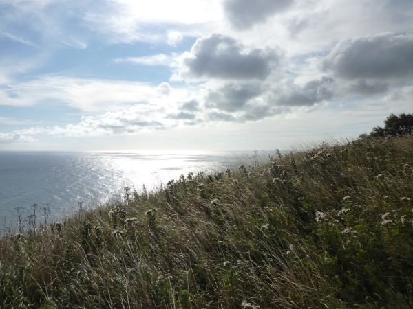 Glorious view over Robin Hood's Bay with the sun reflecting off the sea.