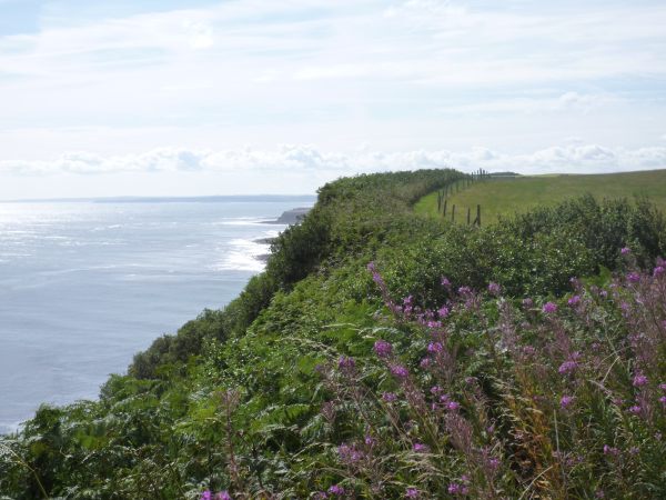 Coast near Scarborough.