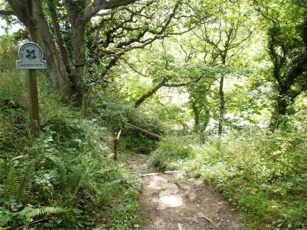 Narrow pathway at Hayburn Wyke.