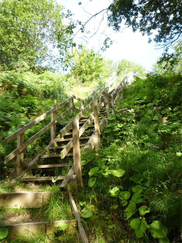 Looking up the narrow pathway steps at Hayburn Wyke.