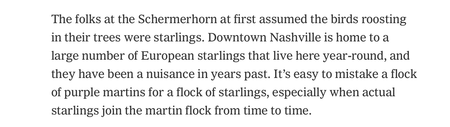 New York Times Article on the Purple Martin. Click on link towards the bottom of the blog for the PDF.