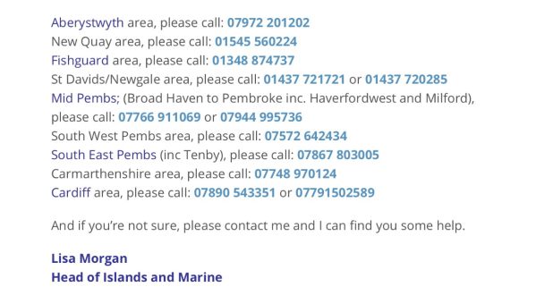 Manx Shearwater Rescue Service! Click on the image for the website this screenshot is taken from (Same page as the image above).