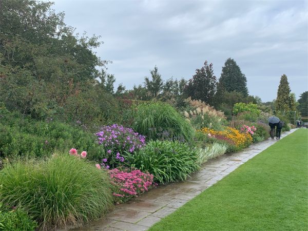 Herbaceous Border.