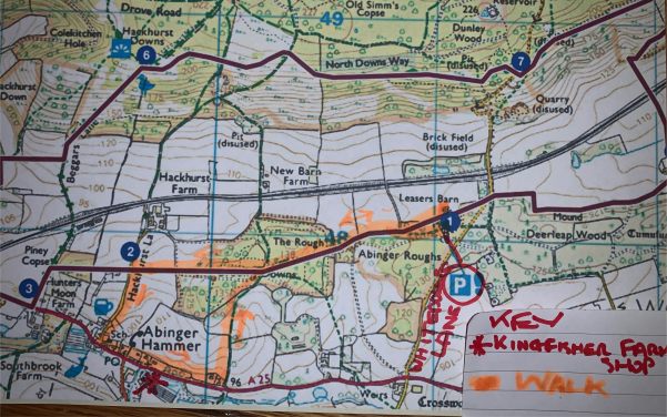 Map of the Watercress Walk - the route highlighted in peach.