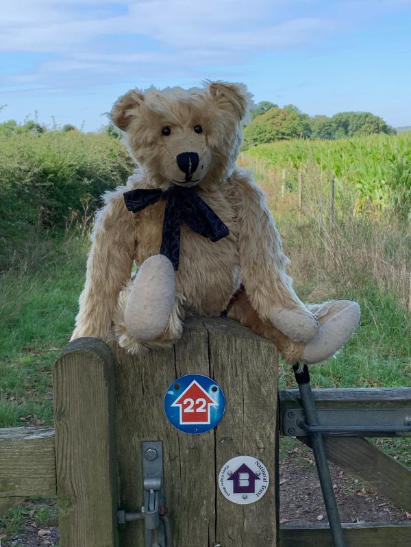 Bertie sat on a gatepost with waymarkers on it.