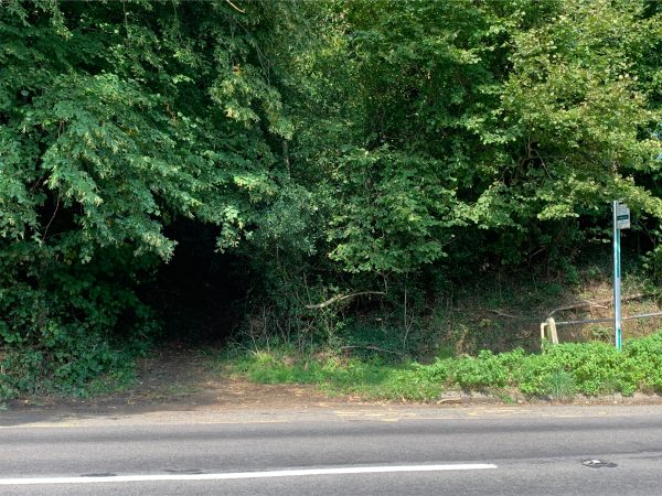 Look across the road and you will see the footpath leading uphill back to the Roughs. Take great care crossing the road.