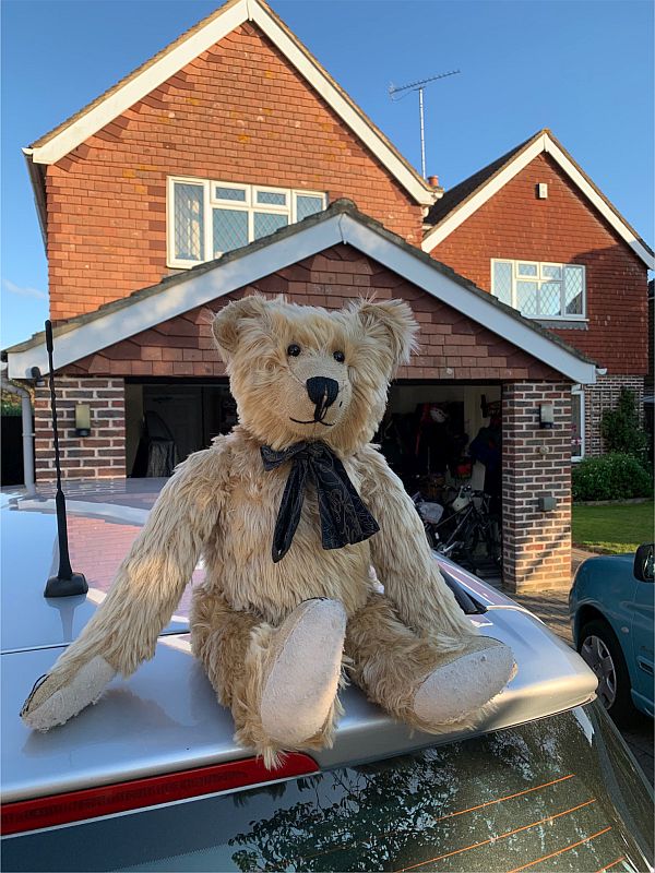 Bertie on the roof of a silver car outside a house.