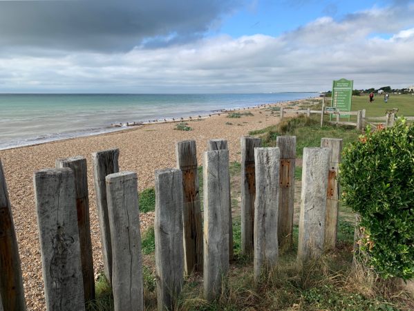 Wooden sleepers standing vertically.