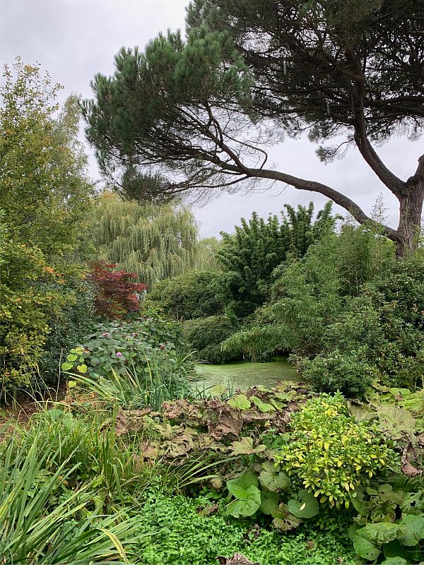 Lush foliage in the secret garden at Dunsborough Park.