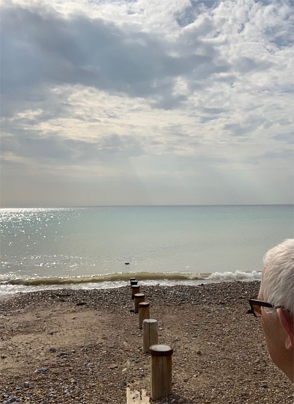 Bobby looking out to sea down the line of the groyne at East Preston. A pebble beach leading to a calm, blue sea.