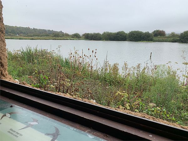 The view from the hide, where you can see dozens of little birds flashing to and fro.