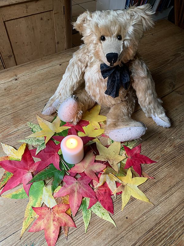 Bertie, with a candle lit for Diddley amidst a pile of brightly coloured autumn leaves.