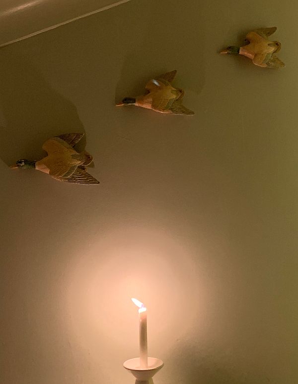 A candle lit for Diddley against a wall that has three flying ducks on it.