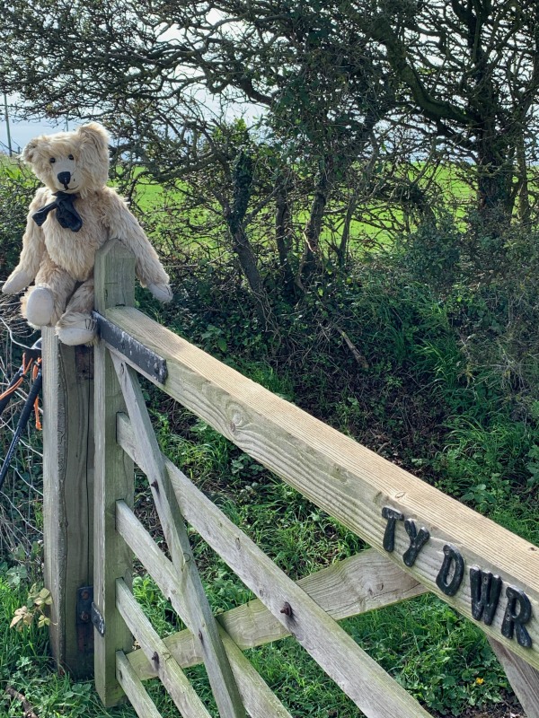 Bertie sat on the post of a gate to Ty Dwr.