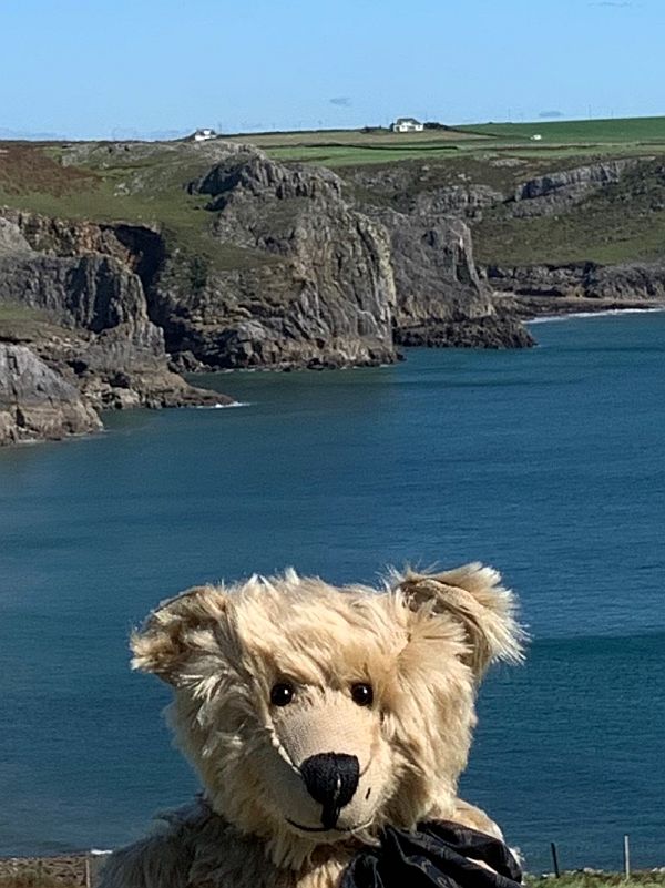 Ty Dwr across Fall and Mewslade Bays. (Above Bertie's left ear).