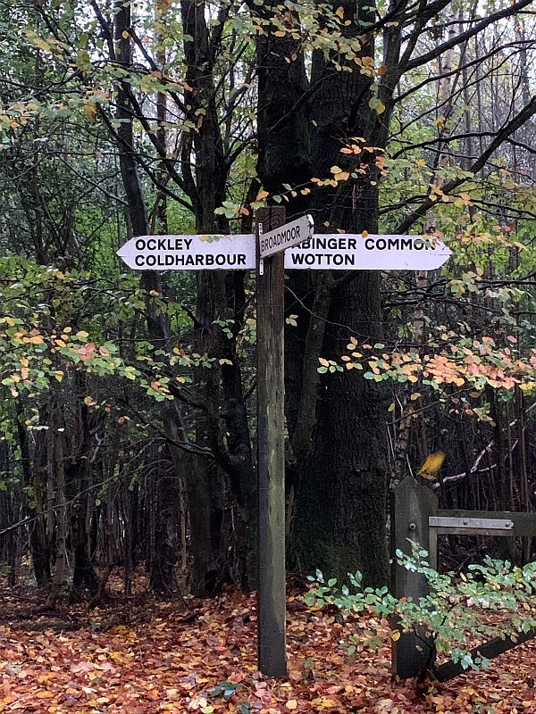 Signpost to various Surrey Hills villages.