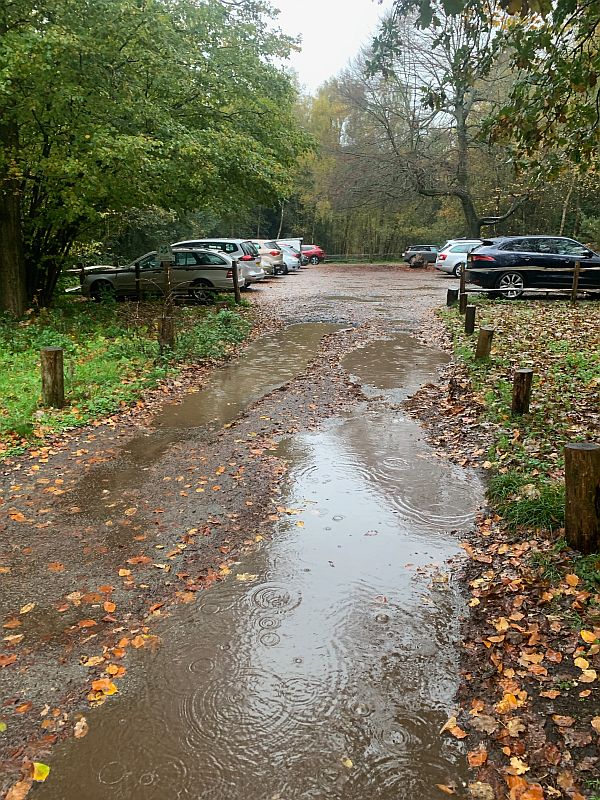 The National Trust car park at Abinger Roughs. Very wet and very busy.