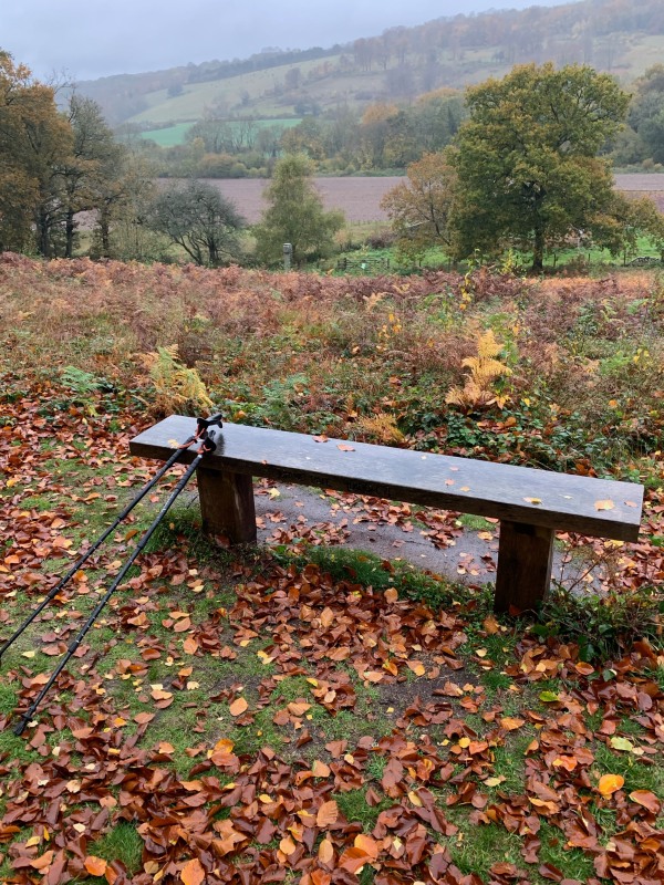 The view across Diddley's Bench.
