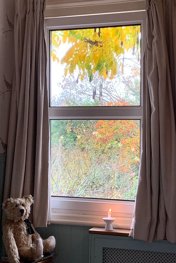 Bertie at the autumn window, with a candle lit for Diddley.