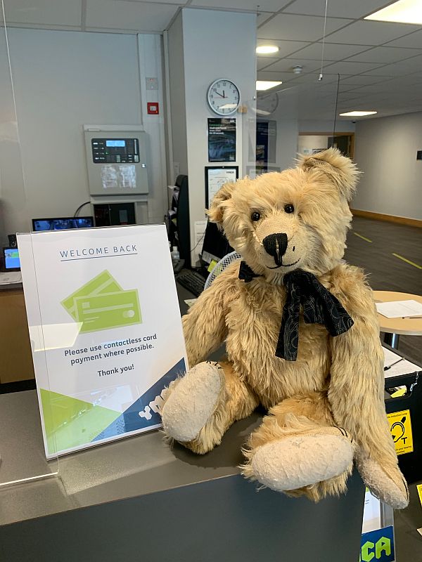 Bertie sat on the counter at the YMCA.