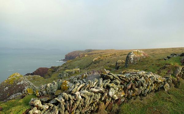 Looking out over the Skokholm coastline.